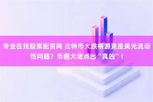 专业在线股票配资网 比特币大跌根源竟是美元流动性问题？币圈大佬点出“真凶”！
