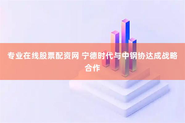专业在线股票配资网 宁德时代与中钢协达成战略合作