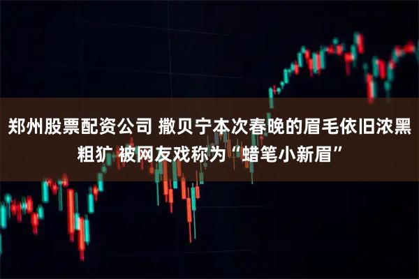 郑州股票配资公司 撒贝宁本次春晚的眉毛依旧浓黑粗犷 被网友戏称为“蜡笔小新眉”