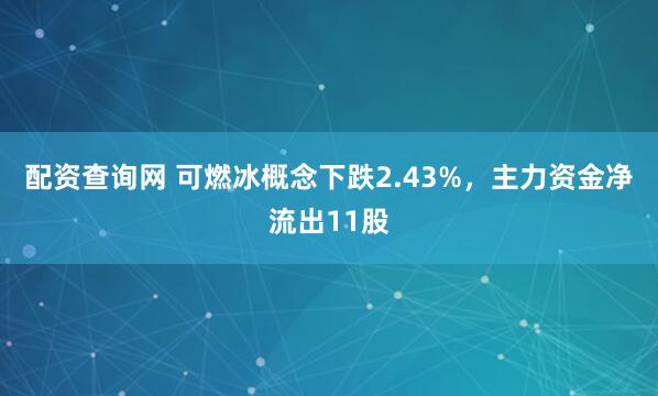 配资查询网 可燃冰概念下跌2.43%，主力资金净流出11股