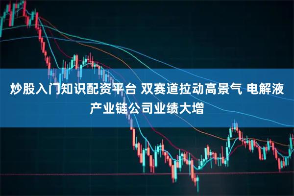 炒股入门知识配资平台 双赛道拉动高景气 电解液产业链公司业绩大增